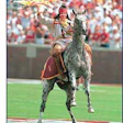 Photo of FSU's Seminole mascot