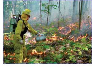 A controlled burn in Ann Arbor, MI