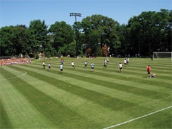 Soccer field