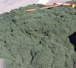 Goturf2 1108 Ab