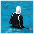 1990 Enews 021109 Muslimswim250