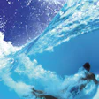 Splash309