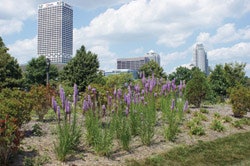 Photo of Lakeshore State Park & Milwaukee skyline