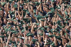 Photo of a stadium full of cheering fans