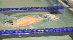 Photo of a swimmer in the 50-meter indoor pool at the University of New Orleans Lakefront Aquatic Center