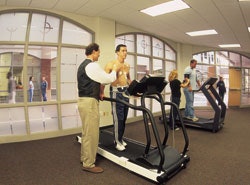 TEST TAKERS Anderson University students undergo heart health evaluations inside the Kardatzke Wellness Center.