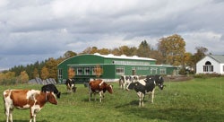 Photo courtesy of The Putney School
