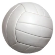 Photo of a volleyball
