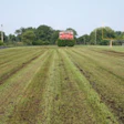 SUSTAINABLE SOIL Topdressing with organic compost has helped transition athletic fields in Marblehead, Mass., from heavy reliance on synthetic nutrients to a more natural growing environment.