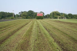 SUSTAINABLE SOIL Topdressing with organic compost has helped transition athletic fields in Marblehead, Mass., from heavy reliance on synthetic nutrients to a more natural growing environment.