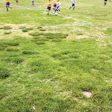 Photo of a poorly maintained soccer field