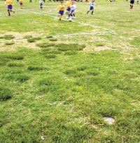 Photo of a poorly maintained soccer field