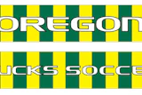 Oregon_Scarf.jpg