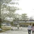 Lakeside at Prospect Park (Image courtesy of Prospect Park Alliance and Tod Williams Billie Tsien Architects)