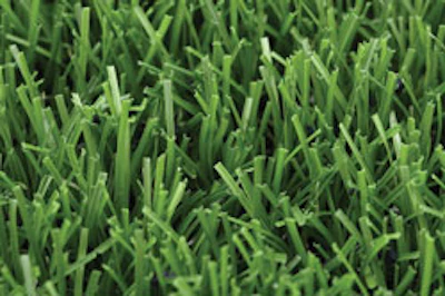 Three-dimensional yarns resist the flattening effects of foot traffic. (Photo courtesy of TenCate Grass North America)