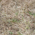 (Image © Paul Maguire/iStockphoto.com)