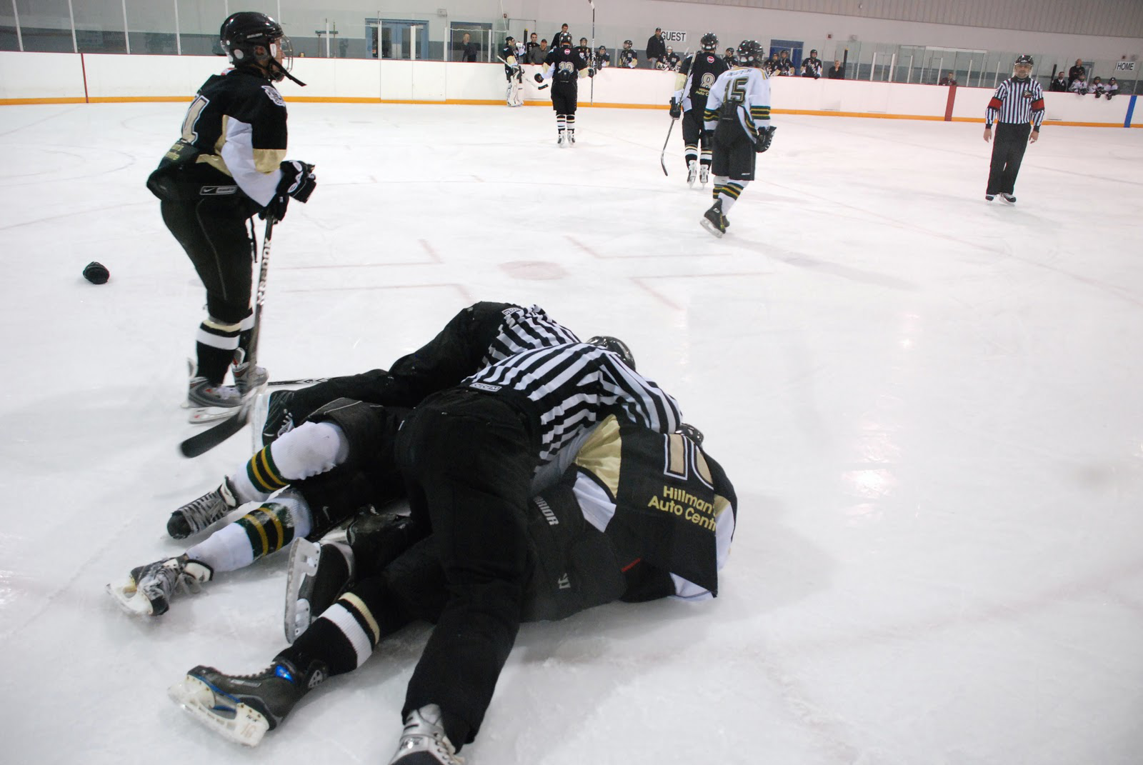 2_12_hockeyfight.jpg
