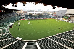 STARS POWER Home of the Portland Timbers MLS club, Jeld-Wen Field carries FIFA's highest recommendation. (Photo courtesy of FieldTurf)