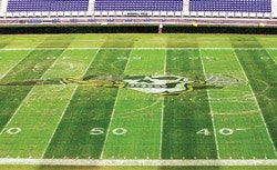 TIME TO FIX THE DOUGHNUTS Damage to the East Carolina University football field required an extra day of care. (Photo by The Daily Reflector)