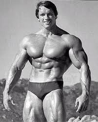 A Body Like Arnold Schwarzenegger's Is No Longer The Goal For Many People In Your Gym