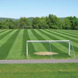 BARE ESSENTIALS Soccer goalmouths need extra attention and at least a couple weeks of rest.