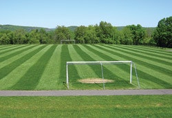 BARE ESSENTIALS Soccer goalmouths need extra attention and at least a couple weeks of rest.