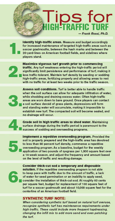 6 Tips for High Traffic Turf