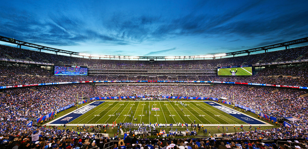 MetLife Stadium's playing field, pictured here during a New York Giants game, is at the center of Taylor Turf's lawsuit.