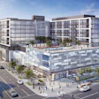 Vida Rendering