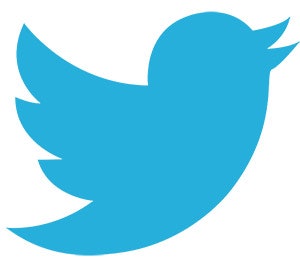 Twitter Bird