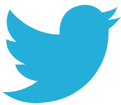 Twitter Bird