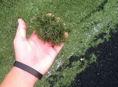 Mowed Turf 22