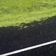 Mowed Turf 11