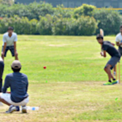 Cricket 2 Resize