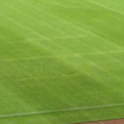 Swastika On Soccer Pitch Resize