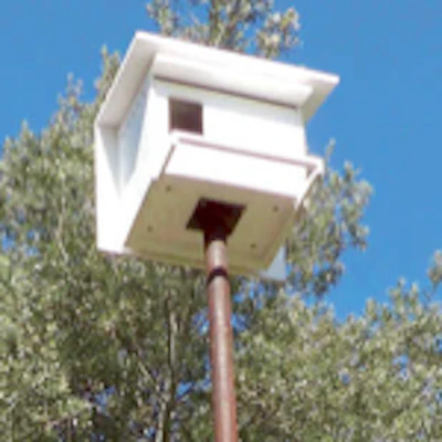 Barn Owl Box Resize