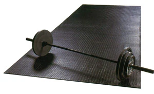 Ozz 1013 Ab 300x183