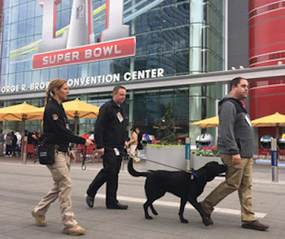For some security experts, technology is no match for the nose of a canine. [Photo courtesy of MSA Security]