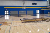 The new Aacer Sports Floor recently installed at Webber High School in Illinois. (Photo credit: Shane Gordon)