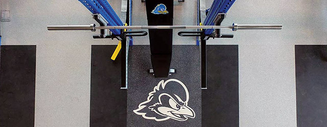University of Delaware [Photo courtesy of Abacus Sports Installations Ltd.]