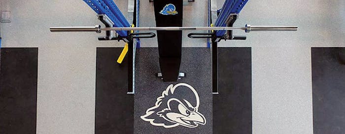 University of Delaware [Photo courtesy of Abacus Sports Installations Ltd.]