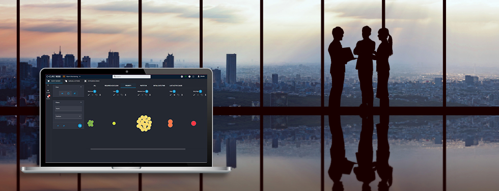 Ccure 9000 Web Based Client Without Logo