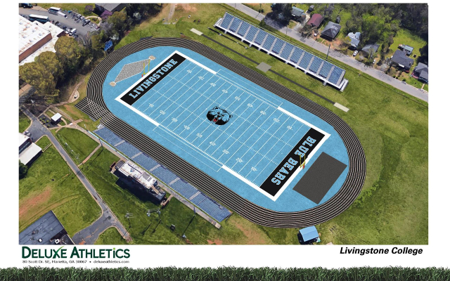 Courtesy of Bluebearathletics.com