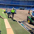Photo courtesy of HG Turf Group & Toyo Green