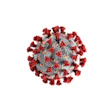 Coronavirus Cdc Illustration