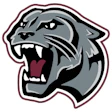 Panther Benton Color