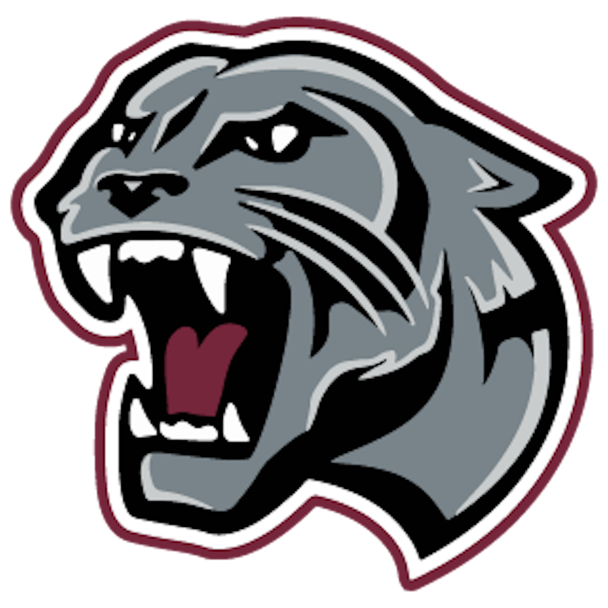 Watch: Tour Benton HS Panthers' Football Facilities | Athletic Business