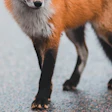 Erik Mclean Ov Wn1sb Giyq Unsplash