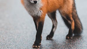 Erik Mclean Ov Wn1sb Giyq Unsplash
