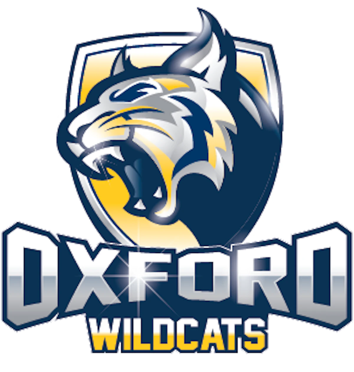 MHSAA's 'Oxford Strong' T-Shirts to Benefit Shooting Victims - Vimarsana News